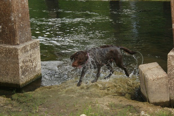 SHAKE IT OFF!