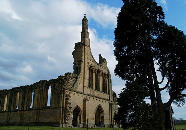 Byland Abbey 2