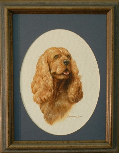 Cocker Spaniel