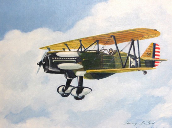 Hawk P6E