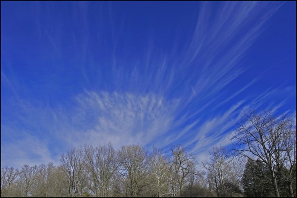 WINTER CLOUDS