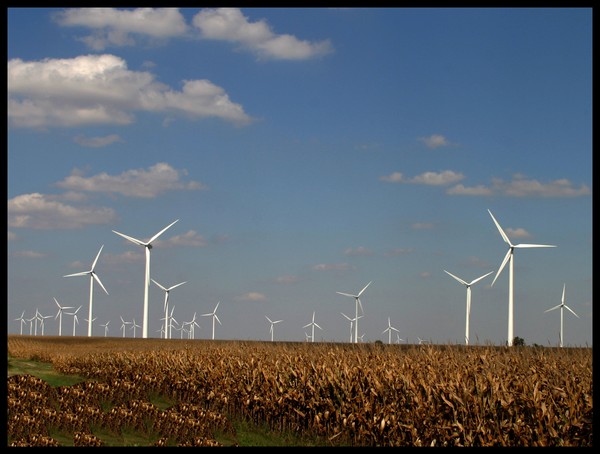 WINDFARM 4