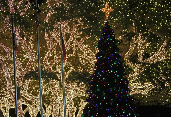 Pedernales Christmas