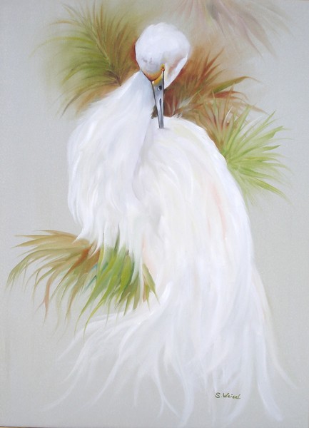 White Egret