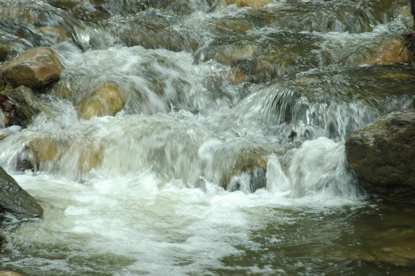 Mountain Stream