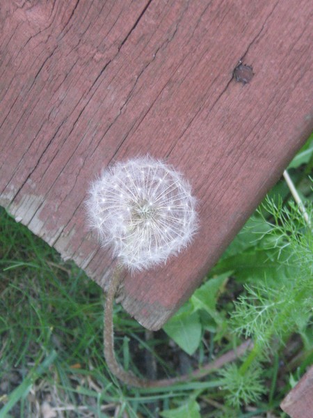 ..ON THE OTHER SIDE..