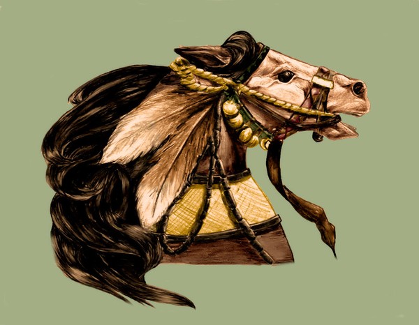 Indain War Pony