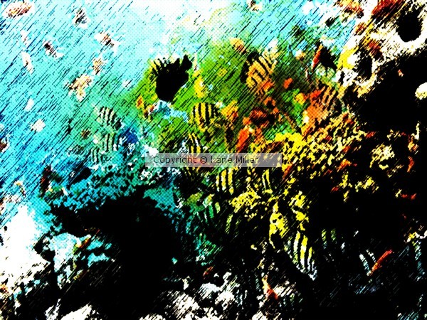 under the sea 1