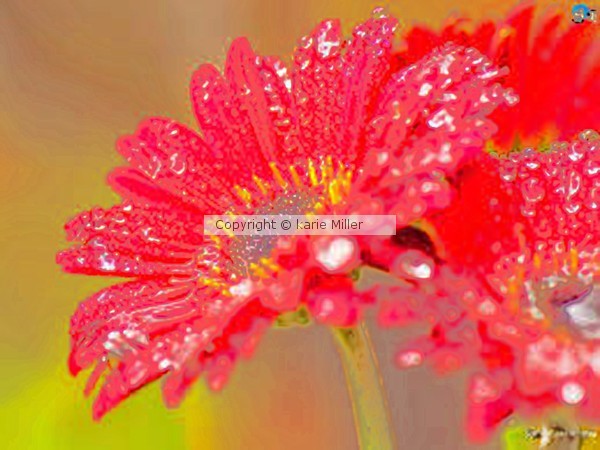 flower 2