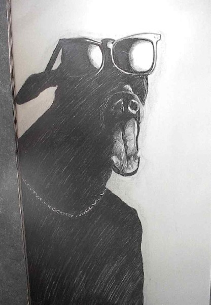 dog