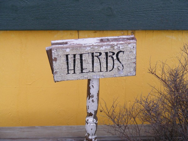 Herbs to grow