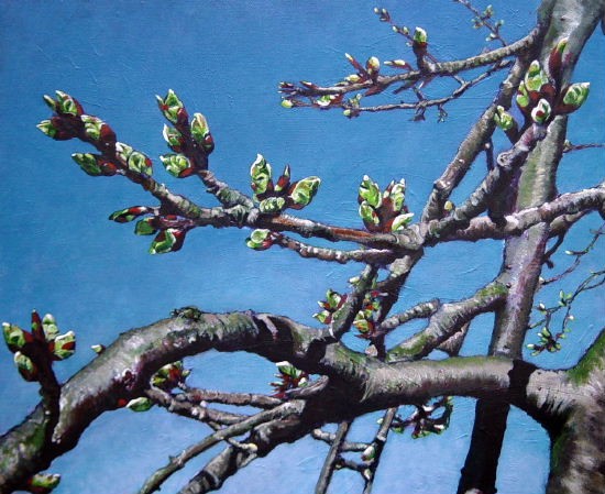 A new springtime