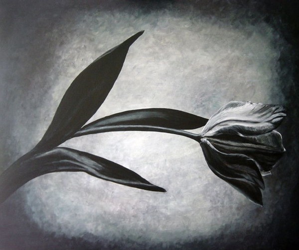 Tulip
