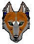 Head