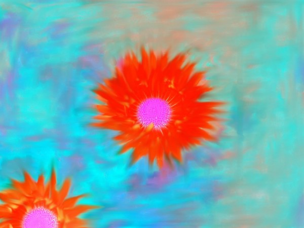 Swiped Flowers