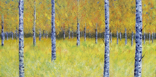 Autumn Birch