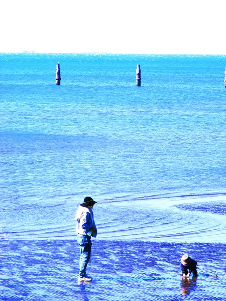 Pairs- Sandgate Queensland