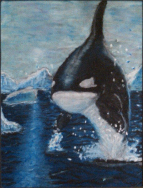 Orca in the Arctic