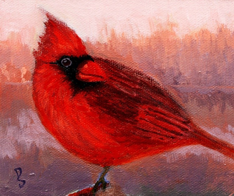 Cardinal 4x5