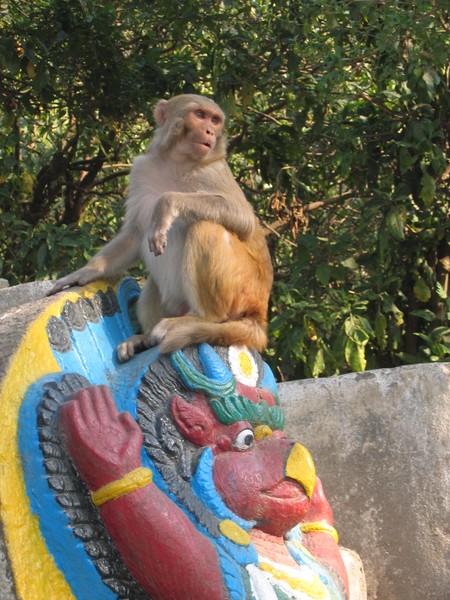 Monkey on a Garuda Sculpture