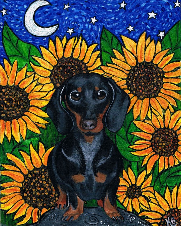 Doxie Doggie