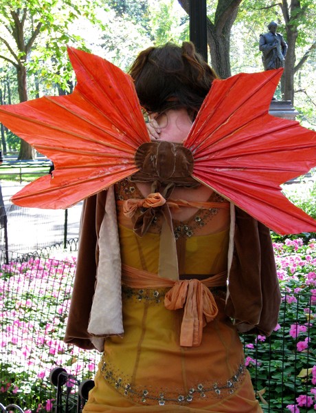 Fairy