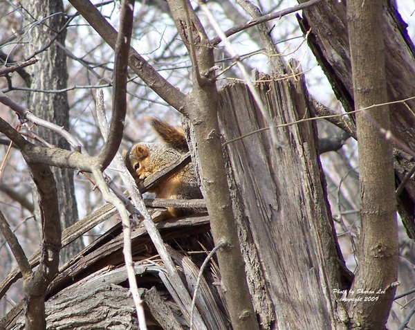 I know you can't see me now
