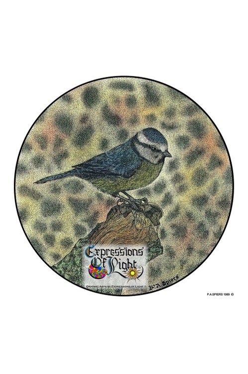 ExpoLight-Graphic-Arts-Bluetit-1989-0001 (Pen-&-Ink-Coloured-SP)