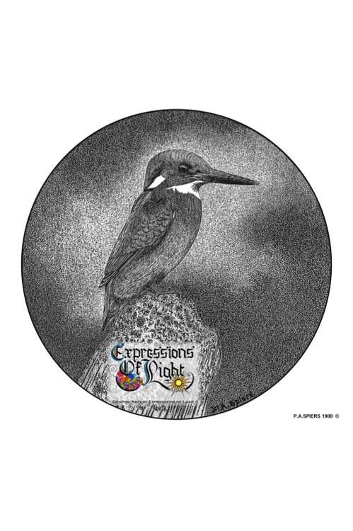 ExpoLight-Graphic-Arts-Kingfisher-1988-0001 (Pen-&-Ink-Mono-SP)