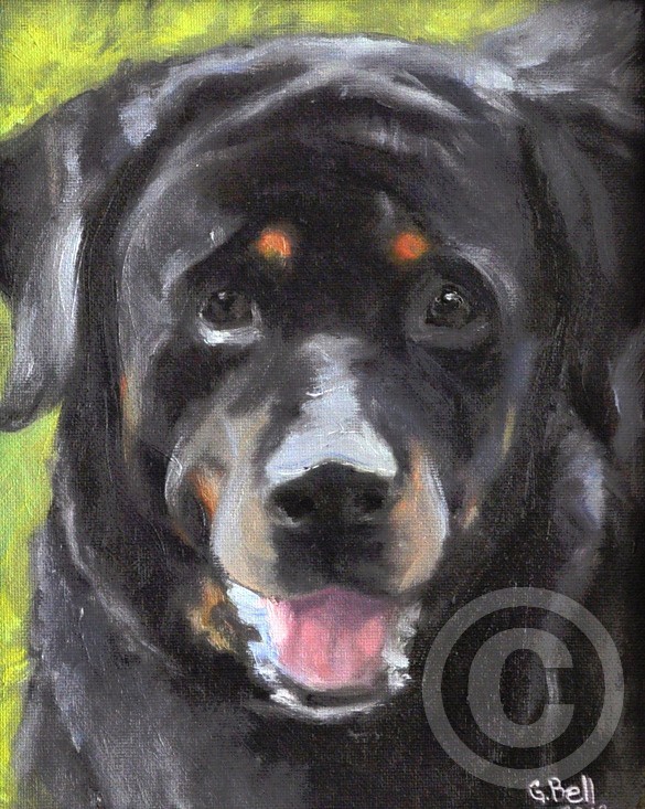Amos, beloved Rottweiler