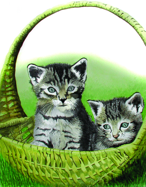 Kitty_Caddy