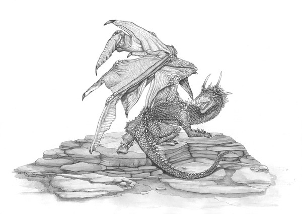 Scaly Dragon