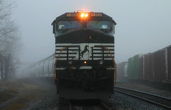 In the fog