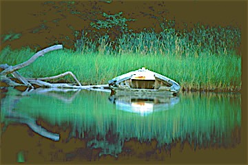 Old Abandoned Boat