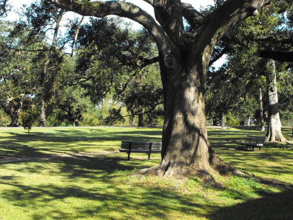 park bench
