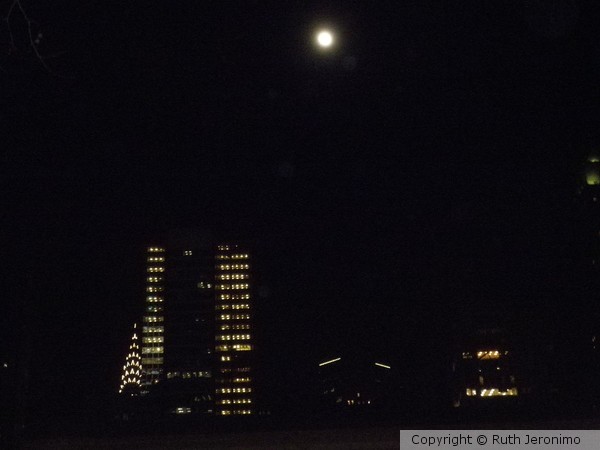 Night at NYC