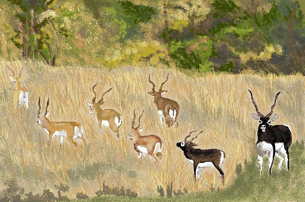 The Magnificent Seven