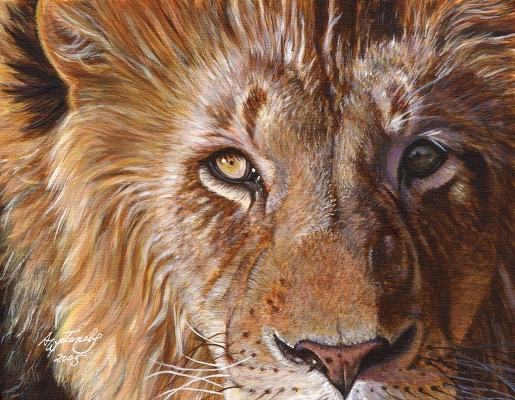 Lion Face