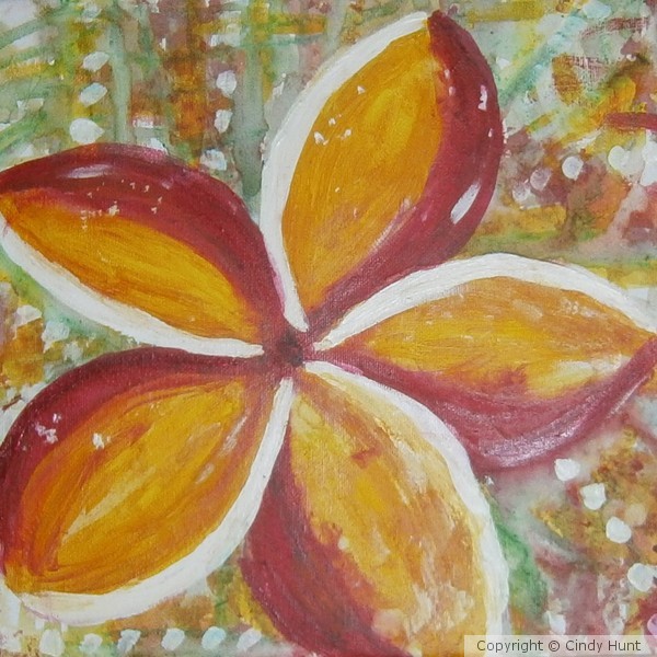 PLUMERIA