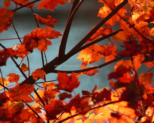Fall on the Lake