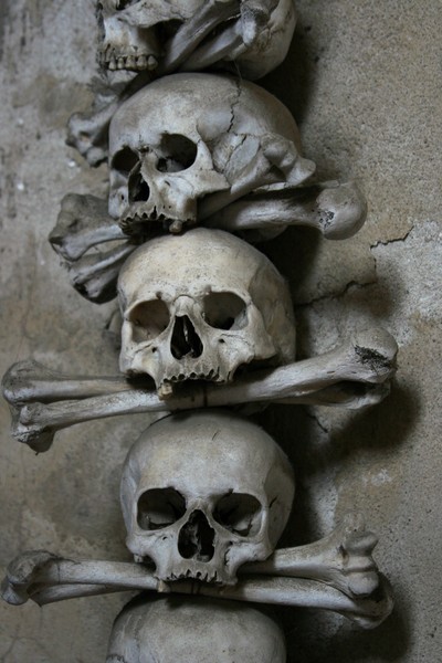 Sculls and Bones V