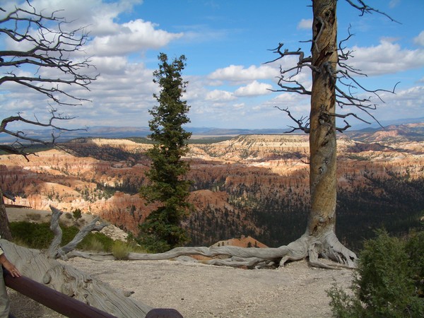 Bryce Canyon 2