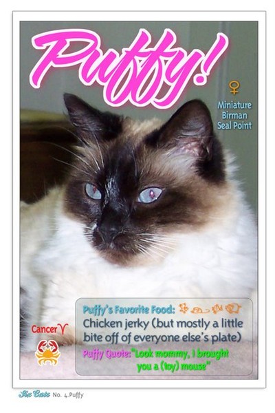 Puffy's Trading Card