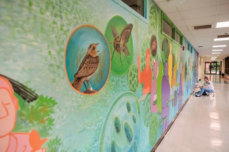 Fragment of the biology mural at UMBC’s Department of Biological Sciences