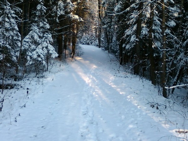 winter photo