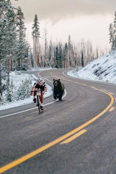 Meal on Wheels
