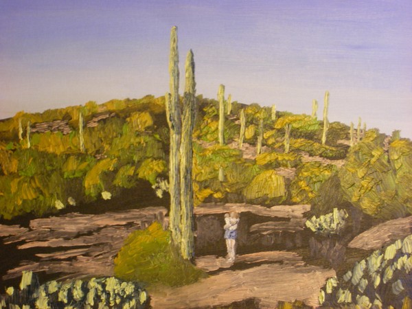 Saguaros