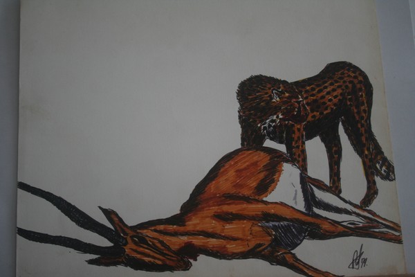 Cheetah with kill