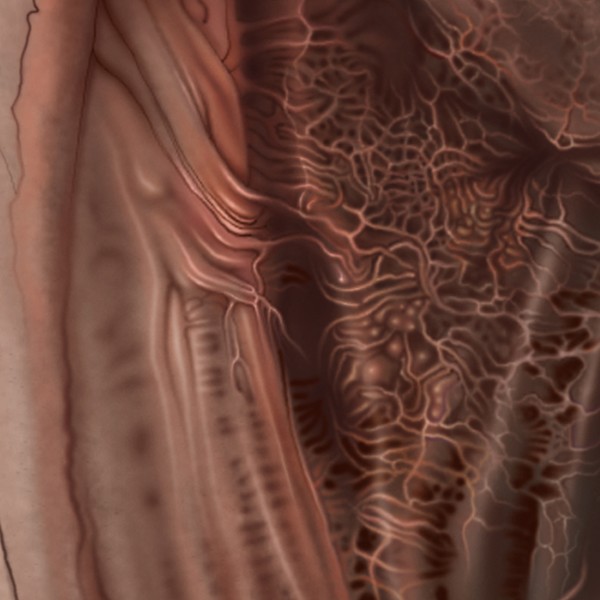 Detail: CAN'T LET GO 2.