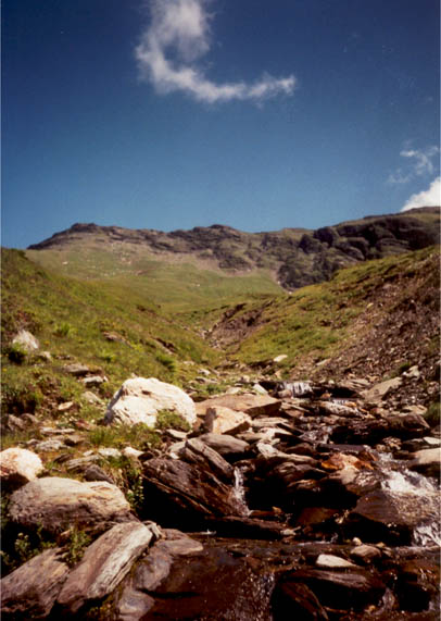 Brook